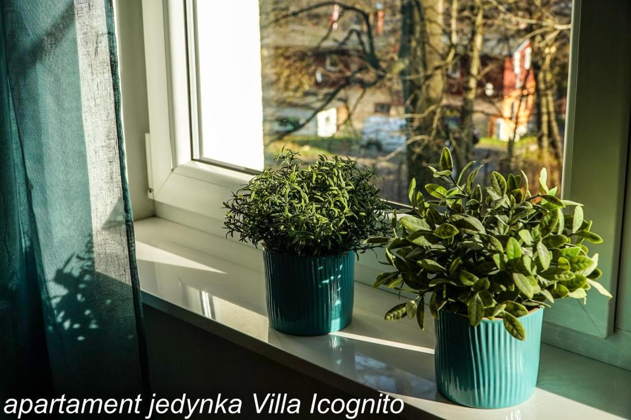 Apartament Jedynka Villa Incognito Schreiberhau Exterior foto